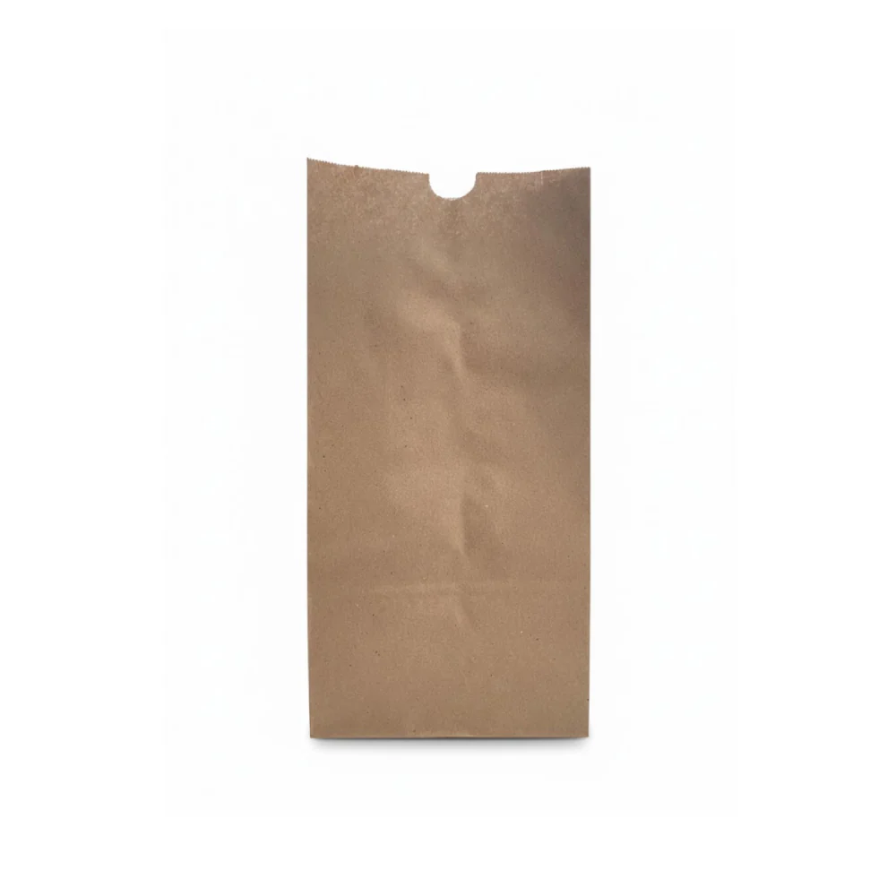 Bolsa de Papel 12 Libras 100 Unidades
