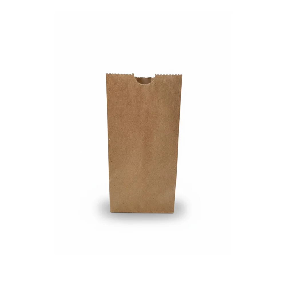 Bolsa de Papel 2 Libras 100 Unidades