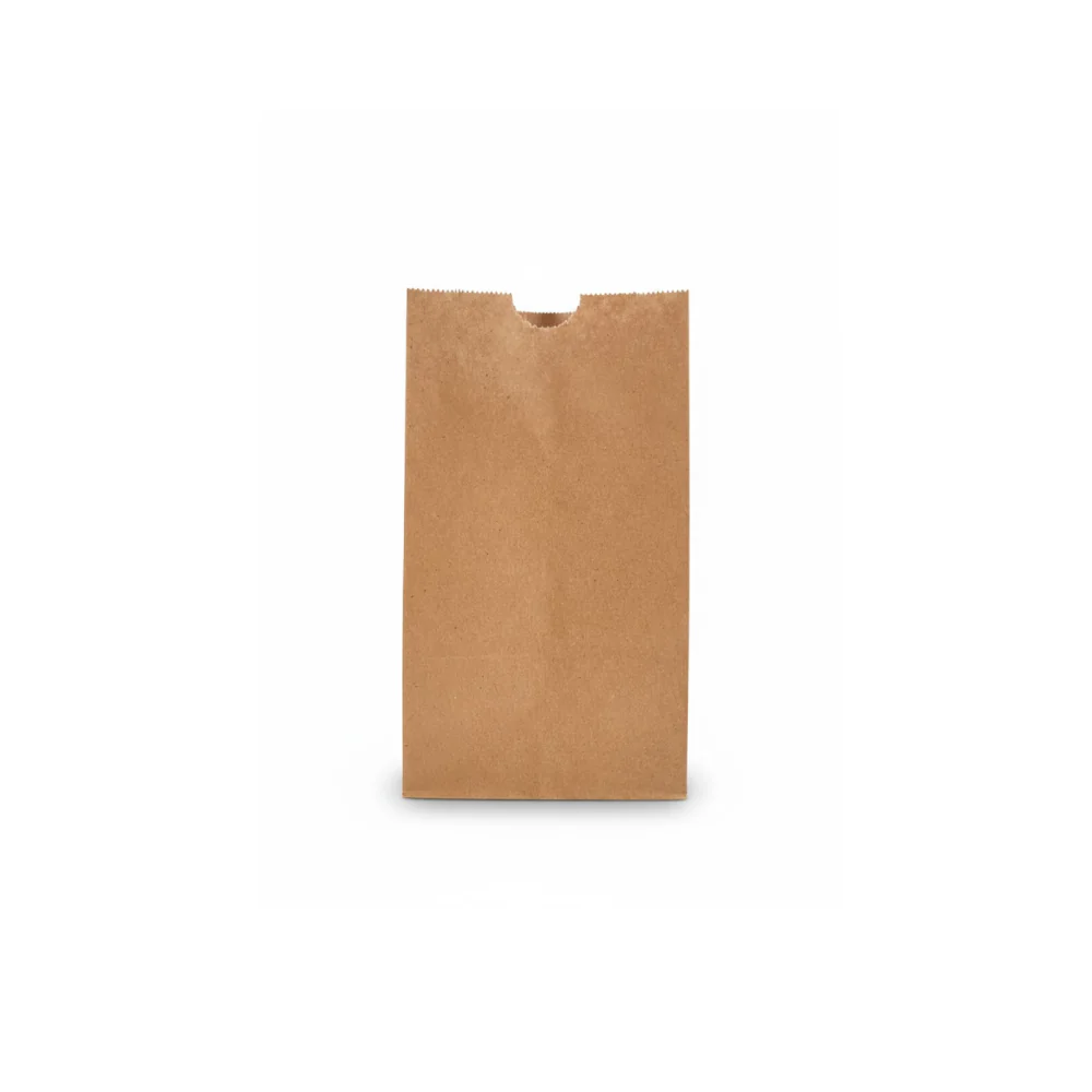 Bolsa de Papel 3 Libras 100 Unidades