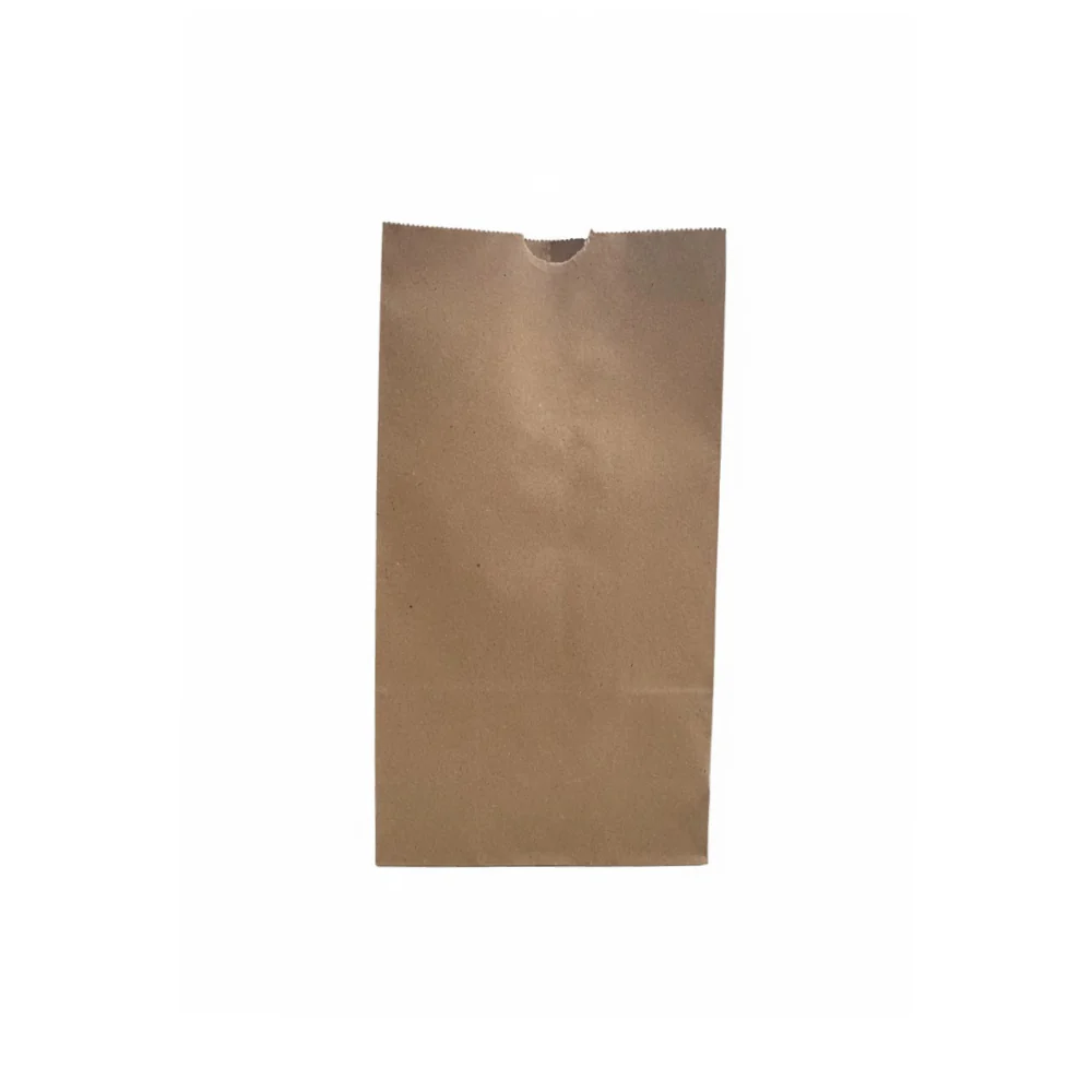 Bolsa de Papel 6 Libras 100 Unidades