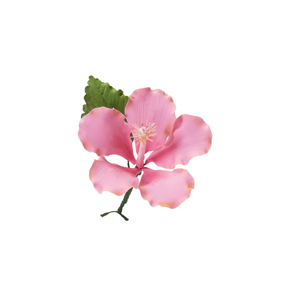 Juego Cortador De Flores X 28 Piezas Wilton - Image 6